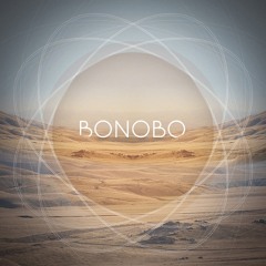 Maya Jane Coles : Something In The Air - Bonobo Remix