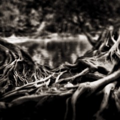 "The Hidden" - a demo for Sliver.