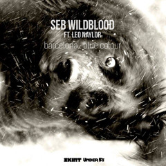Seb Wildblood Ft. Leo Naylor - Barcelona (Apes Remix)