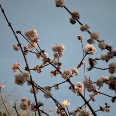 Say Something - A Great Big World / Christina Aguilera COVER