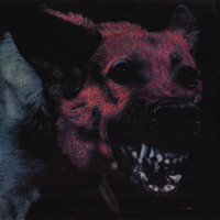 Protomartyr - Come And See