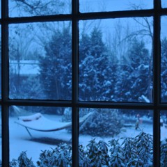 Before The Snow - Fredric Isler