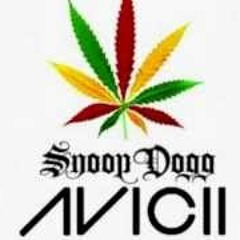 Avicii & Snoop Dogg- Smoke Levels Everyday (420 blaze dogemau5 remix)