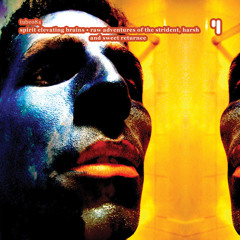 Spirit Elevating Brains - Kid keedoor key