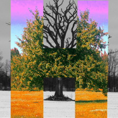 Happiness Through Hurt - Summer Love.