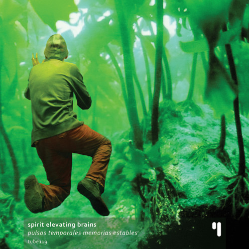 Spirit Elevating Brains - Regulando el aspecto