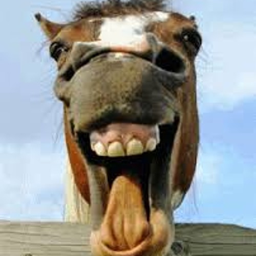 February Mix #2 - Just Say Neigh - 180BPM - Hardcore