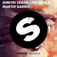 Wizard Vs Tremor Vs I Dont Care (Acejack Mashed Up Edit) Martin Garrix Vs Dimitri Vegas & Like Mike