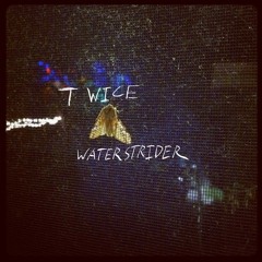 Waterstrider - Twice (Little Dragon Cover)