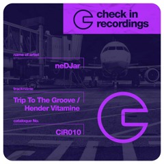 Trip To The Groove (Original Mix)