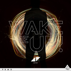 Avicii vs. Steerner - Wake Me Up Life (Victor Fernandez Edit)