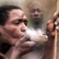 lazy smoke
