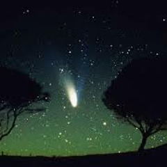 La belle étoile - reprise Mathieu Chedid - Février 2014