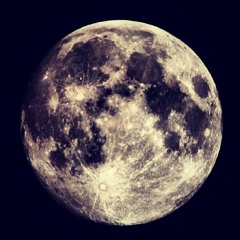 Judubre Peich Sinonimo - Brujulas + DjMonosaurio