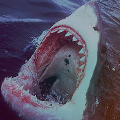 Day of the so called Glory