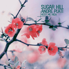 Sugar Hill & Andre Plati - Keep Me High (Me & My Toothbrush Remix)