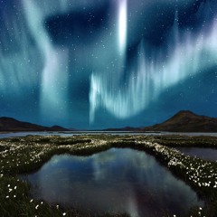 Avixion - Aura (Original Mix)