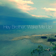 Hey Brother, Wake Me Up! combo-Avicii(cover)
