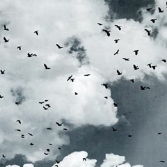 Aya - Husnu Senlendirici -  Dhafer Youssef
