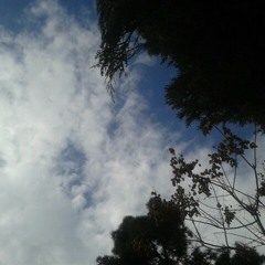 ساحل-کریستف رضاعی