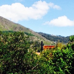 Gay  at Miguel castillo 89