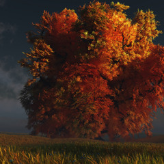 Amir Sedrak - Within (original mix)