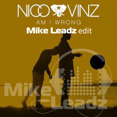 Am I Wrong (Mike Leadz edit)