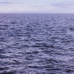Sea Of Love (Cat Power)