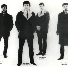 Stream Ian And The Zodiacs Beechwood by LiverpoolBeat | Listen