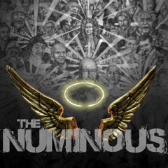 Soul Immersed In A Fool - the NUMINOUS ft Devy Dev Dev & 66notes