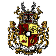 The Punk Group -- Pink Clown Enemies (Maldroid Remix)