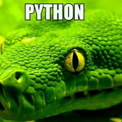 PYTHON