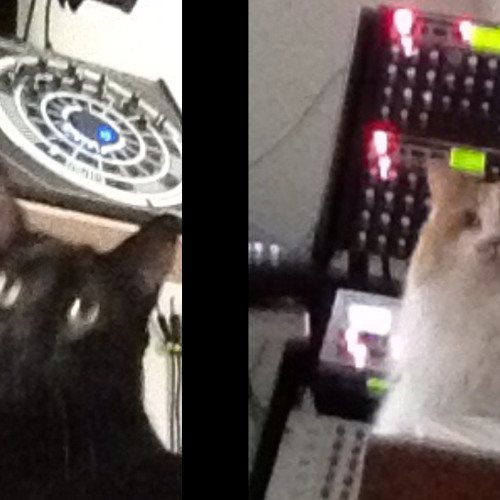 the track with that loop