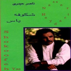 Naser Heydari - Shokoofeye Yas ... ناصر حیدری - شکوفه یاس