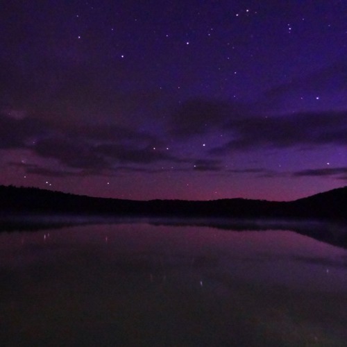 Lights in the Distance