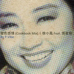 變色感情 (Cookbook Mix)  l  徐小鳳 Feat. 周星馳  l  by  P.Vibe