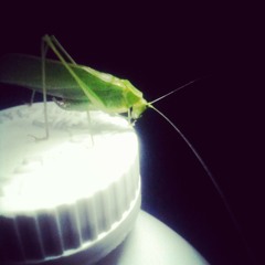 no title/no end/rehearsal