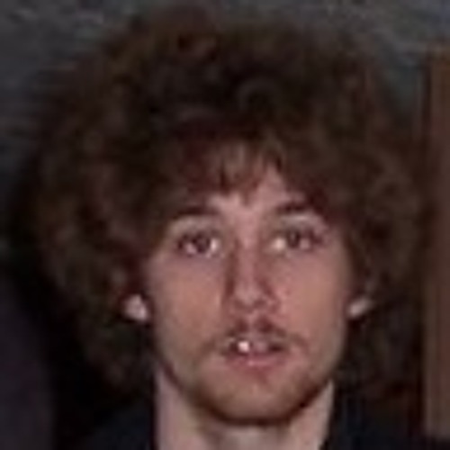 House of the rising sun на русском