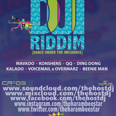 DUI Riddim ( Review wk3 )