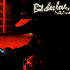 Bitches Love Me (Cover) (Prod. by Atwal)