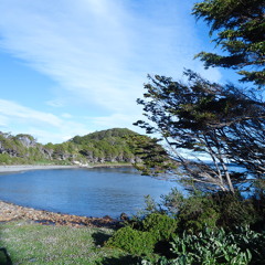 13 The Dream of Algae & Love