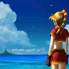 Girl Who Stole The Stars (Cover)