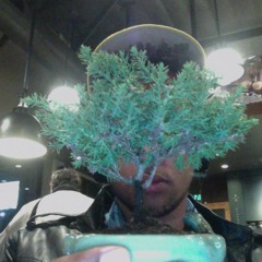 $ardu - Þrautamein (live Heiladans 24) Lag: Aluminium e. Muted.