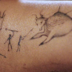 the theatre of the wild beasts