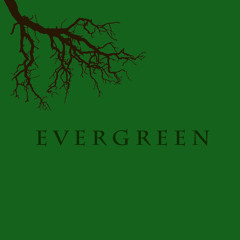 Evergreen