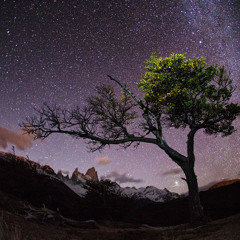 Twinkle Twinkle Little Star