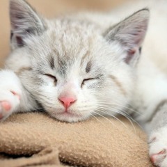 "Magkabilang Mundo"- Jireh Lim (Antok Version)