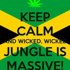 fi di junglist