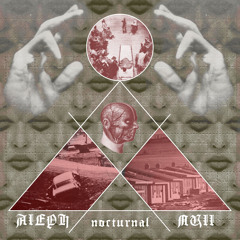 Aleph Null - Nocturnal - 02 Backward Spoken Rhymes