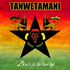 Tanwetamani - Birds In The Tree Top